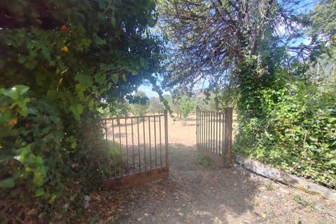 Terra a Maenza, Latina, Maenza - € 39.000 | Ref: 2087 - foto 11