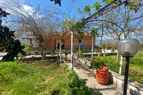 Villa a Amaseno, Frosinone, Amaseno - € 259.000 | Ref: 2091 - foto 8