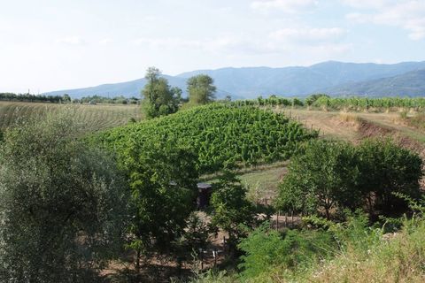 Landejendom i Loro Ciuffenna, Arezzo, Loro Ciuffenna - € 1.970.000 | Ref: 1648 - foto 4