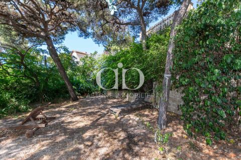 Villa i Cassis, Bouches-du-Rhone, Cassis - € 2.995.000 | Ref: VM - 858 - foto 29
