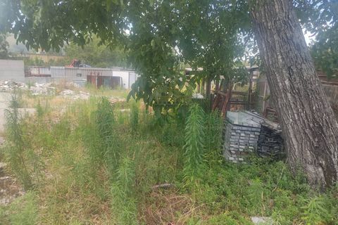 Tomt i Sirignano, Avellino, Sirignano - € 60 000 | Ref: 459468 - foto 10