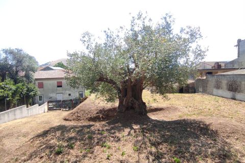 Villa a Castel Morrone, Caserta, Castel Morrone - € 250.000 | Ref: 57 - foto 5