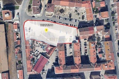 Helårsgrund i Ponte de Lima, Viana do Castelo, Ponte de Lima - € 2.100.000 | Ref: C0431-00676 - foto 3
