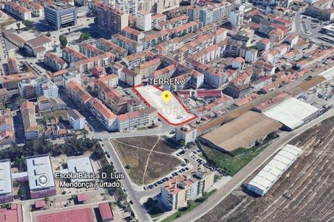 Helårsgrund i Ponte de Lima, Viana do Castelo, Ponte de Lima - € 2.100.000 | Ref: C0431-00676 - foto 7