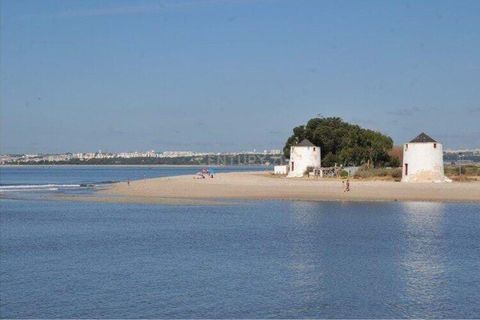 Helårsgrund i Ponte de Lima, Viana do Castelo, Ponte de Lima - € 2.100.000 | Ref: C0431-00676 - foto 11