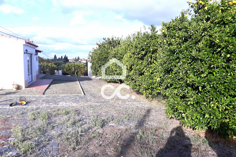 Farm hus i Beringel, Beja, Beringel - € 310.000 | Ref: 333/Q/01412 - foto 2
