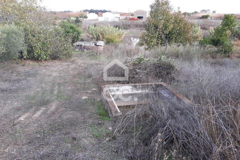 Farm hus i Beringel, Beja, Beringel - € 310.000 | Ref: 333/Q/01412 - foto 19