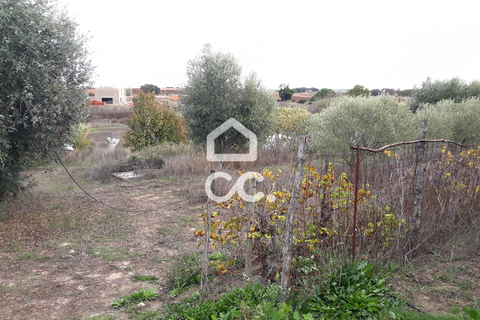 Farm hus i Beringel, Beja, Beringel - € 310.000 | Ref: 333/Q/01412 - foto 24