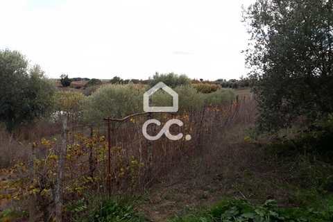 Farm hus i Beringel, Beja, Beringel - € 310.000 | Ref: 333/Q/01412 - foto 25