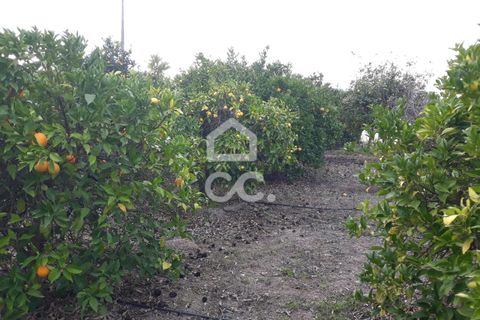 Farm hus i Beringel, Beja, Beringel - € 310.000 | Ref: 333/Q/01412 - foto 26