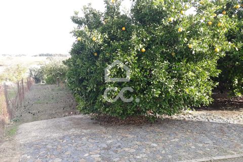 Farm hus i Beringel, Beja, Beringel - € 310.000 | Ref: 333/Q/01412 - foto 31