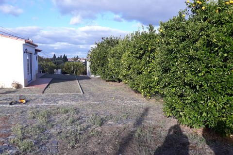 Farm hus i Beringel, Beja, Beringel - € 310.000 | Ref: 333/Q/01412 - foto 41