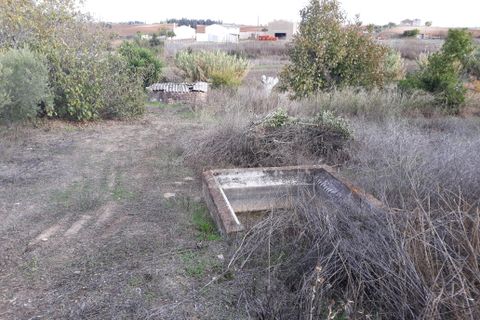 Farm hus i Beringel, Beja, Beringel - € 310.000 | Ref: 333/Q/01412 - foto 45