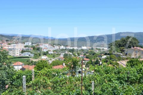 Villa i Sever do Vouga, Aveiro, Sever do Vouga - € 50.000 | Ref: CAS_01255191 - foto 10