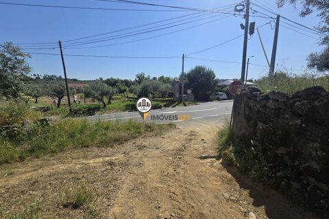 Helårsgrund i Castelo Branco, Castelo Branco, Castelo Branco - € 25.000 | Ref: 2829 - foto 2