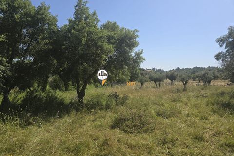 Helårsgrund i Castelo Branco, Castelo Branco, Castelo Branco - € 25.000 | Ref: 2829 - foto 12
