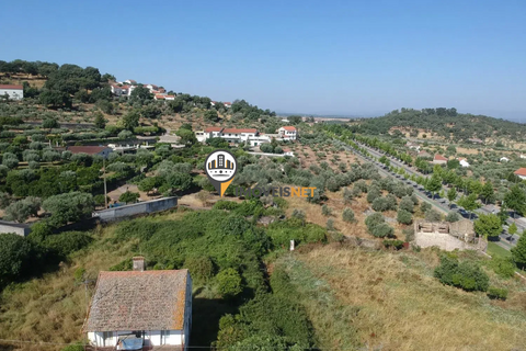 Landejendom i Castelo Branco, Castelo Branco, Castelo Branco - € 1.200.000 | Ref: 2860 - foto 4