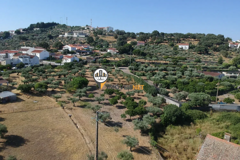 Landejendom i Castelo Branco, Castelo Branco, Castelo Branco - € 1.200.000 | Ref: 2860 - foto 5