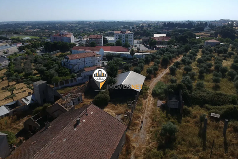 Landejendom i Castelo Branco, Castelo Branco, Castelo Branco - € 1.200.000 | Ref: 2860 - foto 7