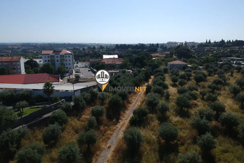 Landejendom i Castelo Branco, Castelo Branco, Castelo Branco - € 1.200.000 | Ref: 2860 - foto 10