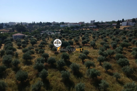 Landejendom i Castelo Branco, Castelo Branco, Castelo Branco - € 1.200.000 | Ref: 2860 - foto 11