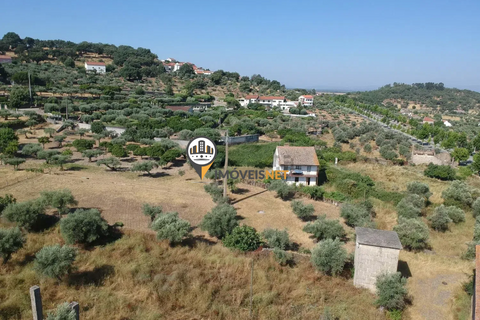 Landejendom i Castelo Branco, Castelo Branco, Castelo Branco - € 1.200.000 | Ref: 2860 - foto 12