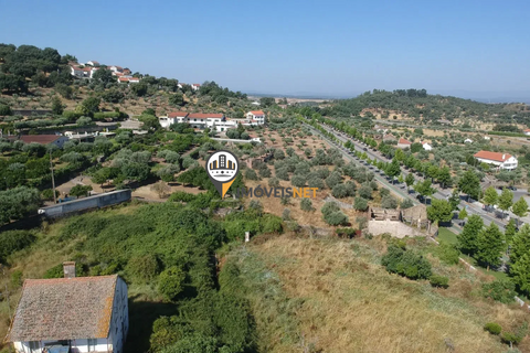 Landejendom i Castelo Branco, Castelo Branco, Castelo Branco - € 1.200.000 | Ref: 2860 - foto 14