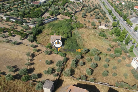 Landejendom i Castelo Branco, Castelo Branco, Castelo Branco - € 1.200.000 | Ref: 2860 - foto 17