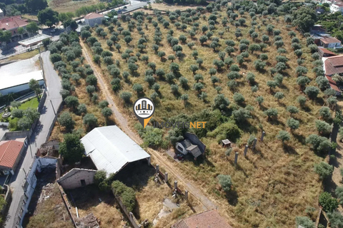 Landejendom i Castelo Branco, Castelo Branco, Castelo Branco - € 1.200.000 | Ref: 2860 - foto 18
