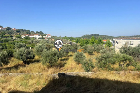 Landejendom i Castelo Branco, Castelo Branco, Castelo Branco - € 1.200.000 | Ref: 2860 - foto 41