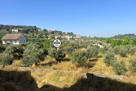 Landejendom i Castelo Branco, Castelo Branco, Castelo Branco - € 1.200.000 | Ref: 2860 - foto 42