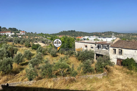 Landejendom i Castelo Branco, Castelo Branco, Castelo Branco - € 1.200.000 | Ref: 2860 - foto 47