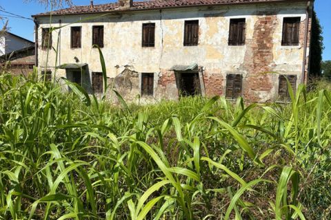 Landejendom i Masi, Padua, Masi - € 60.000 | Ref: OB48 - foto 1