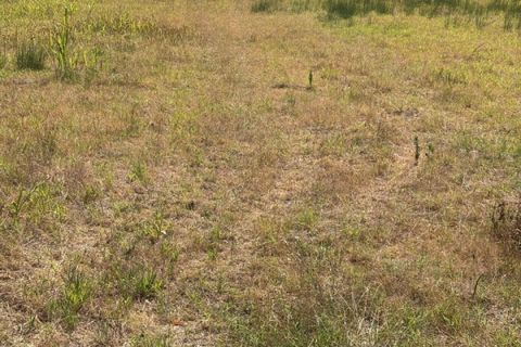 Landejendom i Masi, Padua, Masi - € 60.000 | Ref: OB48 - foto 5