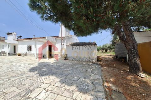 Gård i Elvas, Portalegre, Elvas - € 275 000 | Ref: MAS_181 - foto 26