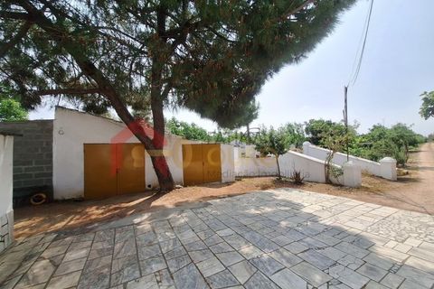 Gård i Elvas, Portalegre, Elvas - € 275 000 | Ref: MAS_181 - foto 31