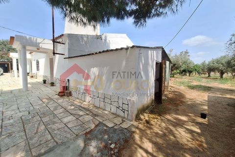 Gård i Elvas, Portalegre, Elvas - € 275 000 | Ref: MAS_181 - foto 32