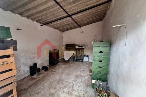 Gård i Elvas, Portalegre, Elvas - € 275 000 | Ref: MAS_181 - foto 33