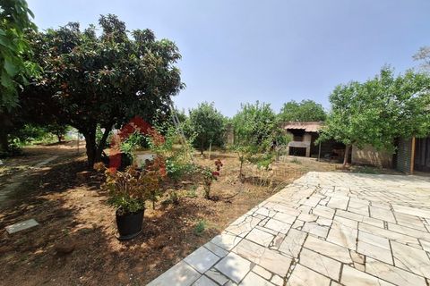 Gård i Elvas, Portalegre, Elvas - € 275 000 | Ref: MAS_181 - foto 34