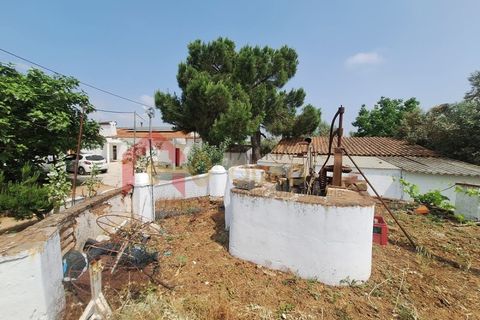 Gård i Elvas, Portalegre, Elvas - € 275 000 | Ref: MAS_181 - foto 37