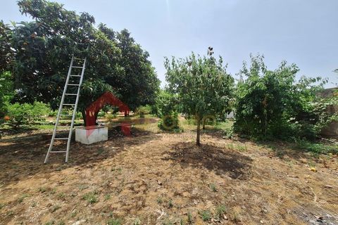 Gård i Elvas, Portalegre, Elvas - € 275 000 | Ref: MAS_181 - foto 40