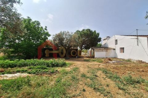 Gård i Elvas, Portalegre, Elvas - € 275 000 | Ref: MAS_181 - foto 41