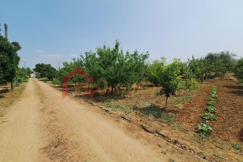 Gård i Elvas, Portalegre, Elvas - € 275 000 | Ref: MAS_181 - foto 43