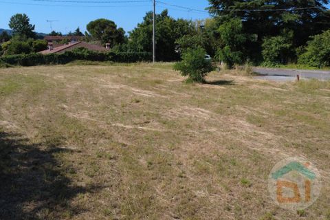 Terra a Gradisca d'Isonzo, Gorizia, Gradisca d'Isonzo - € 80.000 | Ref: DPM80NN10 - foto 9