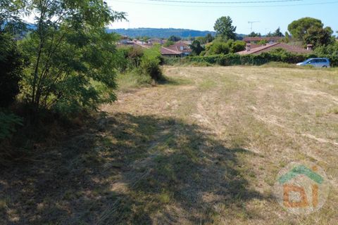 Terra a Gradisca d'Isonzo, Gorizia, Gradisca d'Isonzo - € 80.000 | Ref: DPM80NN10 - foto 10