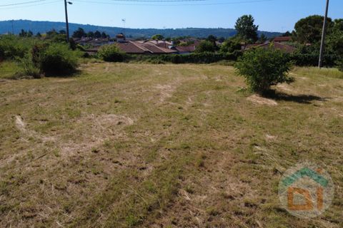 Terra a Gradisca d'Isonzo, Gorizia, Gradisca d'Isonzo - € 80.000 | Ref: DPM80NN10 - foto 12