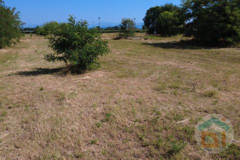Terra a Gradisca d'Isonzo, Gorizia, Gradisca d'Isonzo - € 80.000 | Ref: DPM80NN10 - foto 13