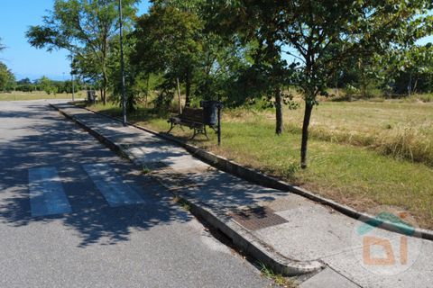 Terra a Gradisca d'Isonzo, Gorizia, Gradisca d'Isonzo - € 80.000 | Ref: DPM80NN10 - foto 16
