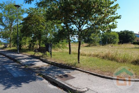 Terra a Gradisca d'Isonzo, Gorizia, Gradisca d'Isonzo - € 80.000 | Ref: DPM80NN10 - foto 19