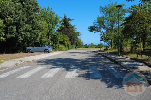 Terra a Gradisca d'Isonzo, Gorizia, Gradisca d'Isonzo - € 80.000 | Ref: DPM80NN10 - foto 20